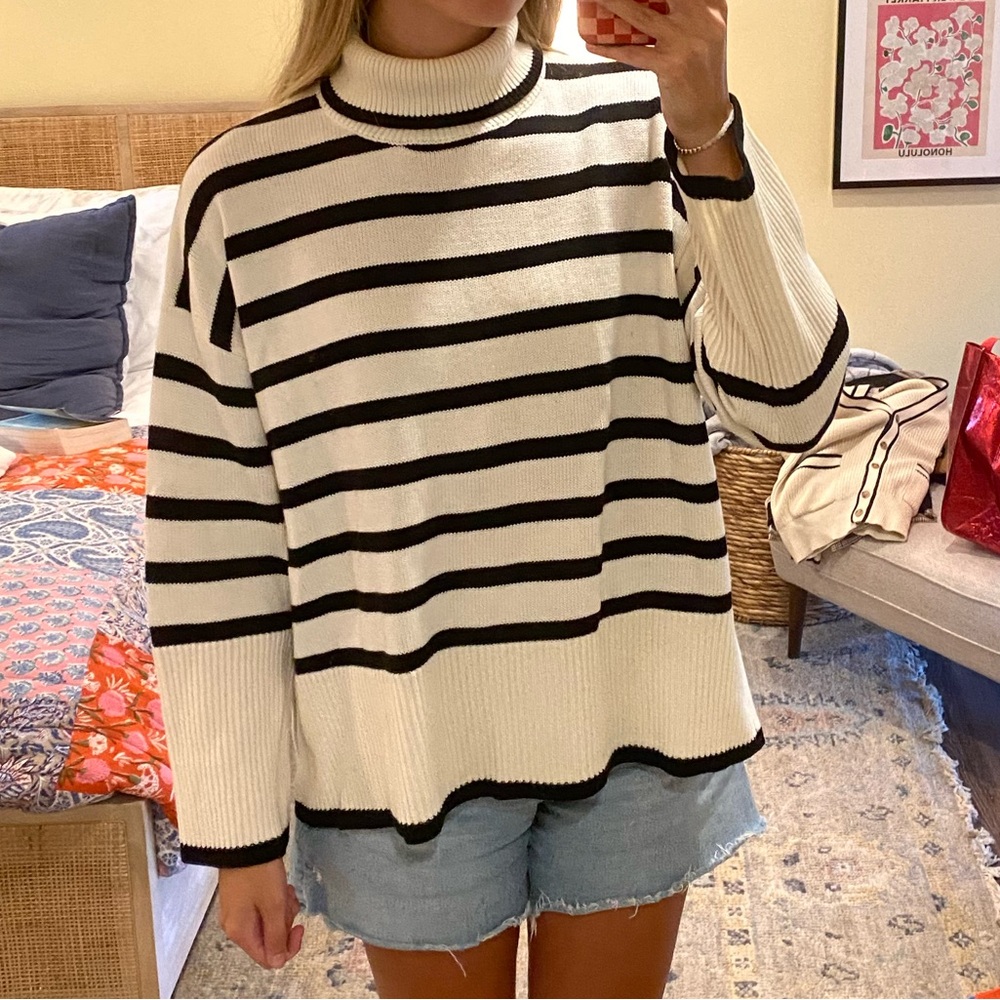 Toteme Turtleneck Striped Sweater